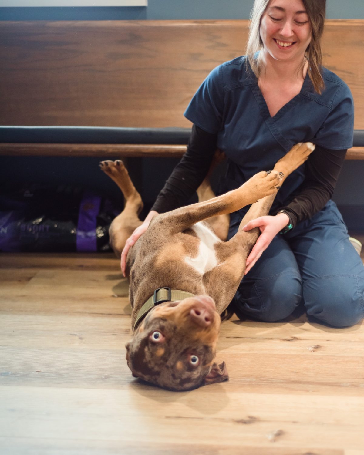 News & Advice Bluegrass Veterinary Clinic