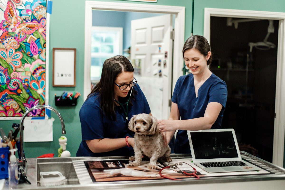 Bluegrass Veterinary Clinic Sparta, TN