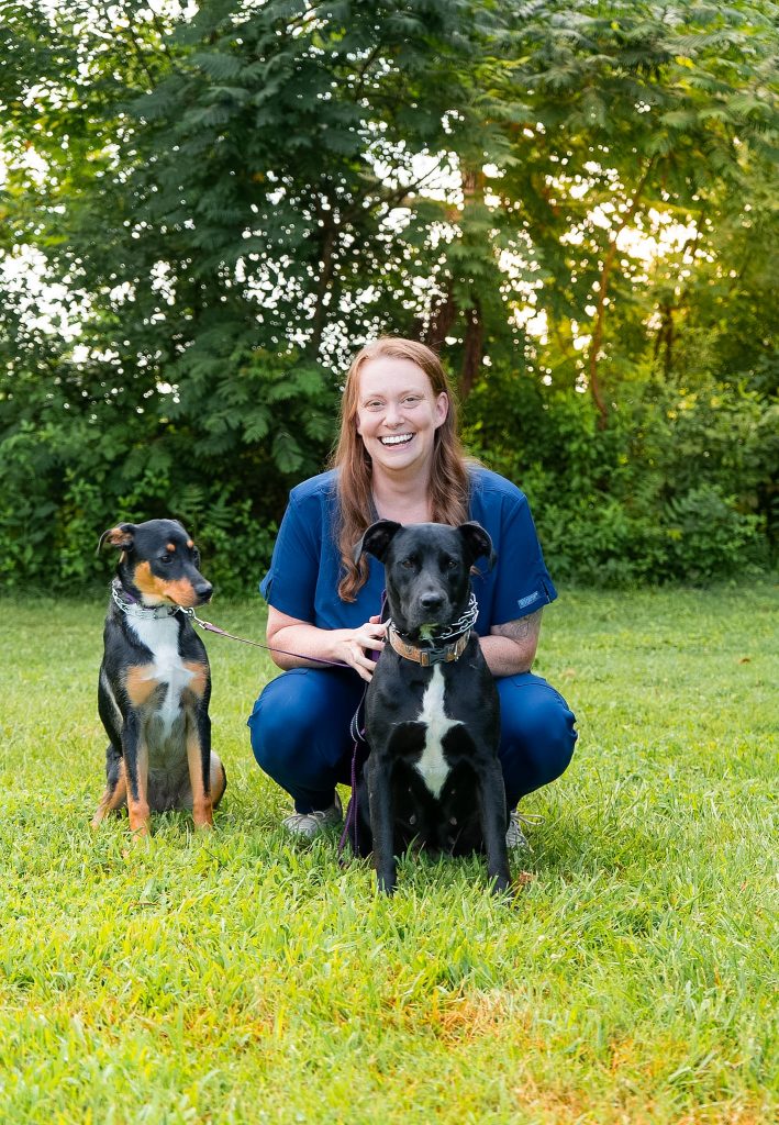 Kelsey dogs 2